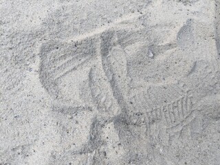footprint in snow