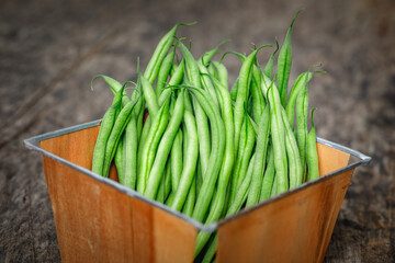 Organically homegrown French filet green beans, 'Maxibel' variety, in a quart container on a rustic vintage wooden background