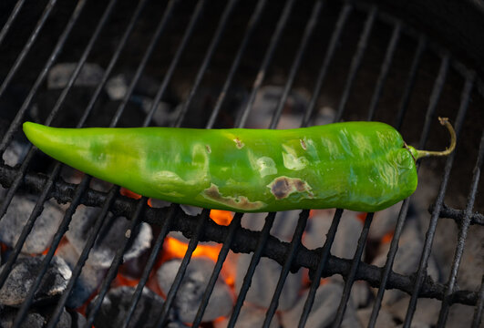 Charred Green Pepper Grilling On BBQ