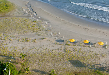 Preparation of a beach to serve tourists with preventive isolation and beach umbrellas.