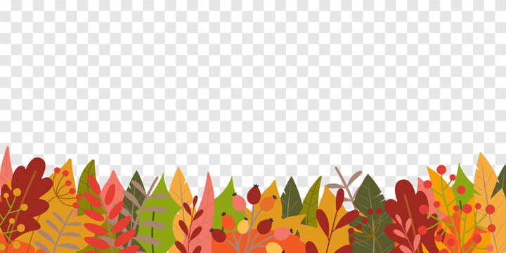 Autumn leaf background. Fall banner template with foliage, leaves frame or border. Sale, thanksgiving, season pattern, poster or layout design template. Vector illustration.