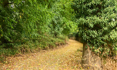 Beautiful view of Enghien park