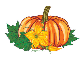 orange pumpkin with green leaves and yellow flowers isolated on white background. autumn composition. Halloween. botanical vector illustration.