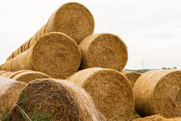 Many haystacks, blocks of hay, bales, stack of hay, rectangular bales on the field