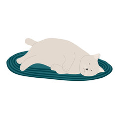Cute hand drawn lazy cat sleep. Sleeping animal flat vector illustration