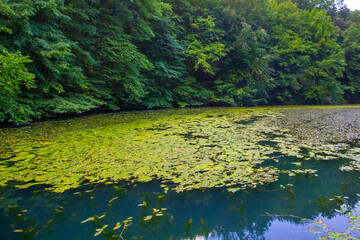 Hungarian tarn near the National Park of Aggtelek, Hungary, Josvafo