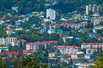 residential buildings in the forested mountains