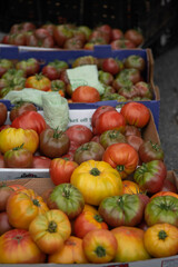 Fototapeta na wymiar Farmers' Market Vegetable spread