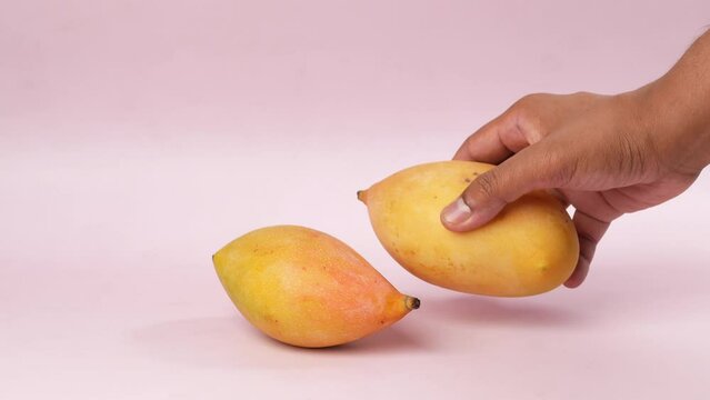 hand pick a mango from a flat background 