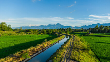 Fototapeta na wymiar Aerial view of irrigation in a rice field, Aceh, Indonesia.