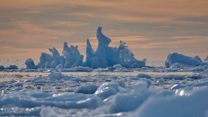 Icebergs floating in the bay at sunset, in Cierva Cove, Antarctica