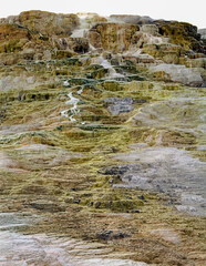 Jupiter Terrace, Yellowstone National Park