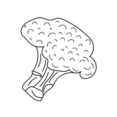 Linear Broccoli. Hand drawn Broccoli isolated on white background. Sketch vegetarian food drawing. Farm market product. Illustration for design logo, menu, label, icon, stamp etc