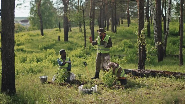 Wide shot of two ecologists reforesting area on sunny spring day, man managing