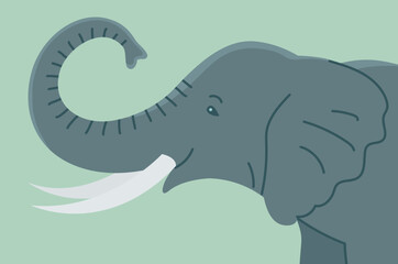 African elephant with tusks. Head portrait. Savannah wild animal. Large herbivorous mammal. Flat vector illustration