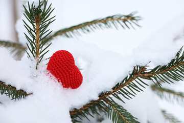 Christmas heart, red knitted symbol of love in the snow on fir branches. New Year celebration, winter weather