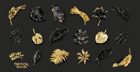 Vector gold and black tropical leaves set on black background. Luxury exotic botanical elements for wedding invitation, cosmetics design, summer banner, perfume, beauty, travel, packaging design - 525146774