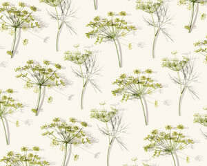 Nature umbrella flower of herb plant Dill on beige background. Minimal natural design pattern,...