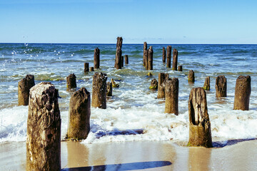 Wooden piles from old breakwater on sandy beach, blue sky, blue sea water of Baltic sea,  Filinskaya bay beach, Russia. Weathered wooden poles in water. Summer day, waves and wind, landscape