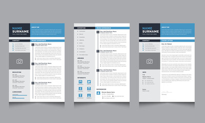 Clean Resume Templates Stylish CV blue and dark gray background