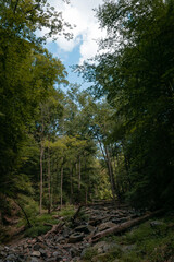 Fototapeta premium Valley in the mountains