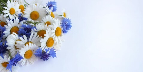 White daisies and blue cornflowers in a summer bouquet on a white background. Floral arrangement in a rustic style. Background for a greeting card.