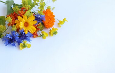 Yellow and blue flowers in a summer bouquet on a white background. Floral arrangement in a rustic style. Background for a greeting card.