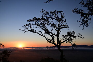  dawn clouds