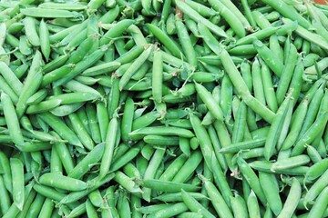 Fresh, juicy green pea pods at the eco market