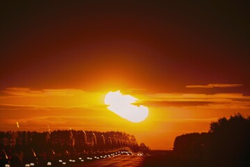 Fototapety na wymiar - Fototapeta24.pl