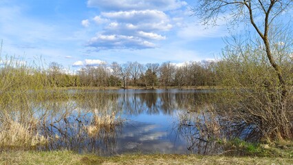 In spring, the river floods and the water floods the grassy banks with the bushes and trees growing on them. The trees and blue sky with clouds are reflected in the calm water of the river. Sunny