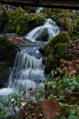 Beautiful small waterfall surrounded by green plants under a bridge at Gaisholl in the Black Forest of Germany.