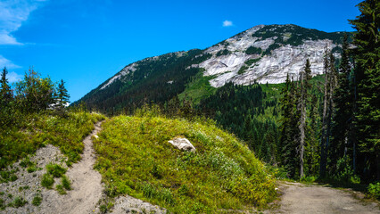 Hiking trails and wildflower hills at Coquihalla Summit on Coquihalla Hwy in Yale, British Columbia, Canada. Tranquil majestic granite mountain peaks of 
rocky Mountains. 