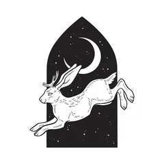 Foto op Aluminium Jackalope hare with horns folklore magic animal over night sky with crescent moon hand drawn line art gothic tattoo design isolated vector illustration © croisy