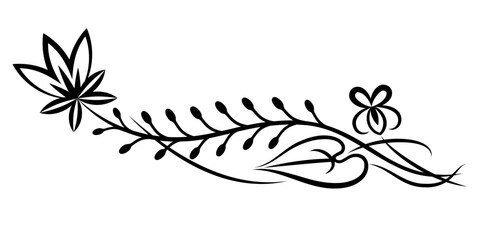 Herbs decorative drawing. Flowers vector line drawing. Botanical sketches.Vector illustration. Wildflowers linear drawing. Spring summer black and white herbs. Decor element. Tattoo design.