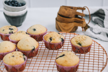 Homemade blueberry muffins baked to perfection on cooling rack in modern white marble kitchen.