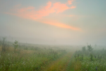 Serene landscape with a lake in the fog