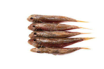 Raw and clean red mullet, isolated on white background. Mullus surmuletus is a bony fish, small in size, edible and highly appreciated. It is found throughout the Andalusian coast.