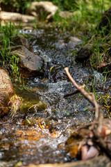riachuelo fluyendo 