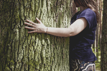 Female tree hugger person in the forest hugging big oak tree. - obrazy, fototapety, plakaty