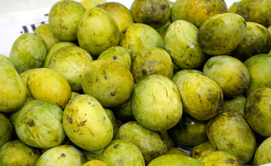 Mangifera Langra Mango