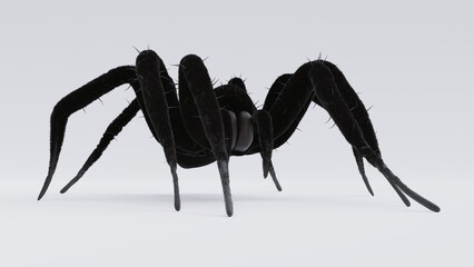 A large black spider on a white background.