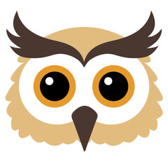 Cute Owl Face