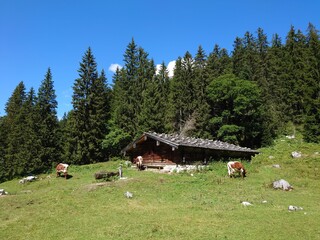 Auf der Alm