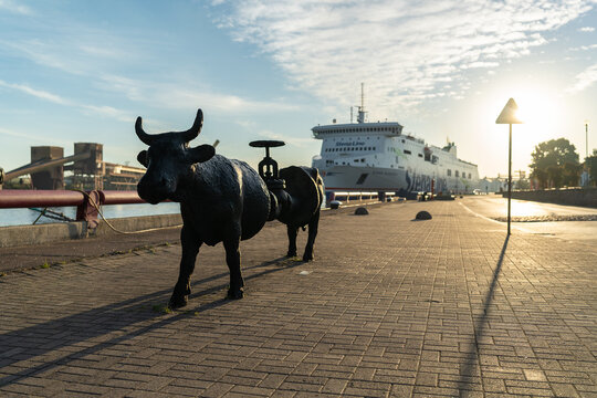 Sculpture Petroleum Cow