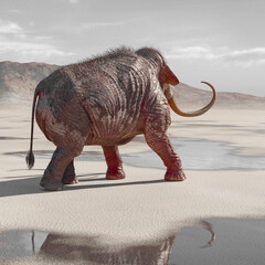 mammoth is flipped in the desert after rain rear view