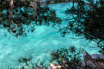 Beautiful turquoise sea water through the natural frame of branches.