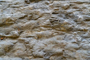 rough stone structure wall mountain texture with shells imprinted in rock