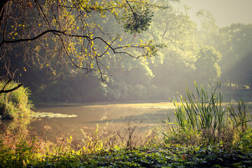 Ujęcie plenerowe w letni słoneczny dzień. Poranne promienie słońca w letnim parku. © anettastar