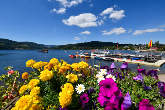 TITISEE-SCHWARZWALD-GERMANI
FORESTA NERA